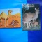 HOPCT LOT NR 1031 FAUNA EXOTICA -FAUNA -2 CARTI POSTALE-NECIRCULATE