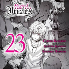 A Certain Magical Index, Vol. 23 (Manga)