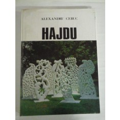 HAJDU (prezentare in limba romana si engleza) Catalog - Alexandru CEBUC - Muzeul de Arta al R.S.R, 1984