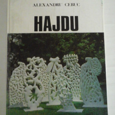 HAJDU (prezentare in limba romana si engleza) Catalog - Alexandru CEBUC - Muzeul de Arta al R.S.R, 1984