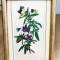 Tablou matase - decorativ / de colectie - Flori