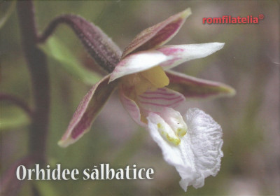 Romania, LP 2132/2016, Orhidee salbatice, c.p.i. maxime in etui foto