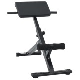 vidaXL Bancă pentru hiperextensii 120 kg pliabilă și ajustabilă din oțel