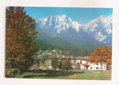 RF42 -Carte Postala- Poiana Tapului, circulata 1975 foto
