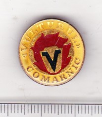 bnk ins Insigna Vulturul Comarnic