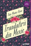 Trandafirii din Mexic - Pam Munoz Ryan, Grupul Art