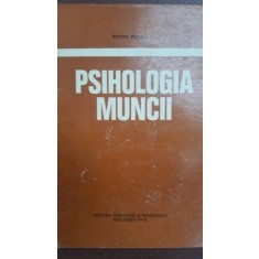 Psihologia muncii Petre Pufan