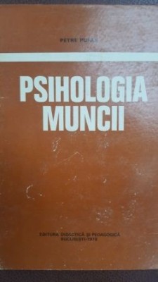Psihologia muncii Petre Pufan foto
