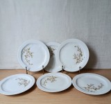 Lot 6 farfurioare portelan mic dejun, model floral