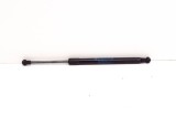 Amortizor haion dreapta BMW 2 Coupe F22, F87 2019 OEM: 7304556 12121107