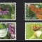 Aitutaki 2020, Fauna - Fluturi, serie neuzată, MNH