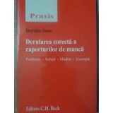 DERULAREA CORECTA A RAPORTURILOR DE MUNCA-HORATIU SASU-232442