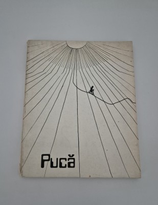 Florin Puca Album grafica foto