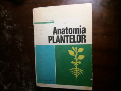 anatomia plantelor andrei foto