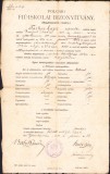 HST A1823 Certificat școlar 1914 S&acirc;ntana Arad