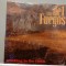 The Del Fuegos &ndash; Smoking in The Fields (1989/BMG/RFG) - Vinil/Vinyl/NM+