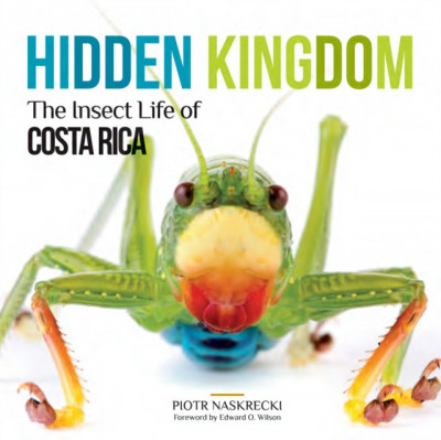 Hidden Kingdom: The Insect Life of Costa Rica foto