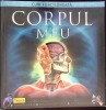 Cum Functioneaza Corpul Meu - Steve Parker, Teora, 2009, Romana, Biologie, Coperta Cartonata