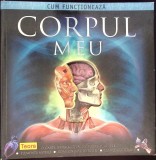 Cum Functioneaza Corpul Meu - Steve Parker, Teora, 2009, Romana, Biologie, Coperta Cartonata