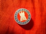 Insigna Ladies Circle Romania , metal si email , d=2cm