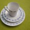 Portelan Scherzer Bavaria, frumos set de mic dejun