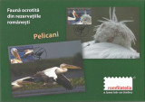 |Romania, LP 2062/2015, Fauna ocrot din rez. romanesti: pelicani, maxime in etui
