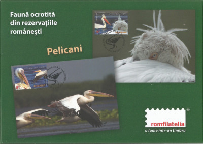 |Romania, LP 2062/2015, Fauna ocrot din rez. romanesti: pelicani, maxime in etui foto