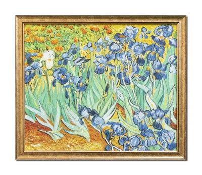 Tablou celebru inramat pictat manual, Irisi la Saint-Remy, 65x55cm ulei pe panza reproducere Vincent van Gogh foto