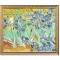 Tablou celebru inramat pictat manual, Irisi la Saint-Remy, 65x55cm ulei pe panza reproducere Vincent van Gogh