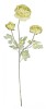 Set 3 flori artificiale Ranunculus verde 61 cm