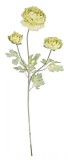 Set 12 flori artificiale Ranunculus verde 61 cm