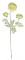 Set 3 flori artificiale Ranunculus verde 61 cm - 1