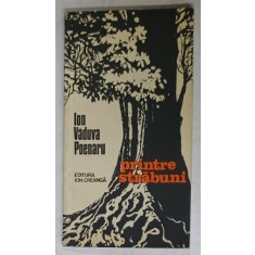 PRINTRE STRABUNI , versuri de ION VADUVA POENARU , 1983