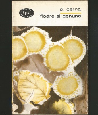 FLOARE ȘI GENUNE - PANAIT CERNA - BPT foto