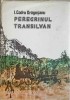 PEREGRINUL TRANSILVAN-ION CODRU DRAGUSANU-219192