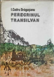 PEREGRINUL TRANSILVAN-ION CODRU DRAGUSANU