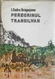 PEREGRINUL TRANSILVAN-ION CODRU DRAGUSANU-193863