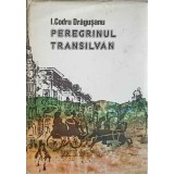 PEREGRINUL TRANSILVAN-ION CODRU DRAGUSANU-193863