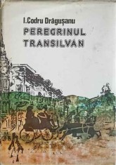 PEREGRINUL TRANSILVAN-ION CODRU DRAGUSANU-193863 foto