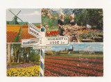 FA1 - Carte Postala - OLANDA - Flowerdecoration, necirculata