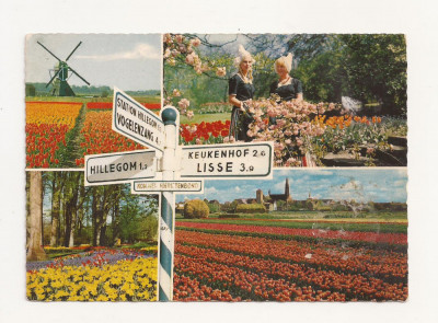 FA1 - Carte Postala - OLANDA - Flowerdecoration, necirculata foto