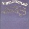 CANTECUL NIBELUNGILOR-VIRGIL TEMPEANU-228652