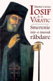Smerenie intr-o imensa rabdare - Editura Ortodoxia