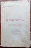 NICHIFOR CRAINIC - SESURI NATALE (VERSURI, volum de debut - RAMURI/CRAIOVA 1916)
