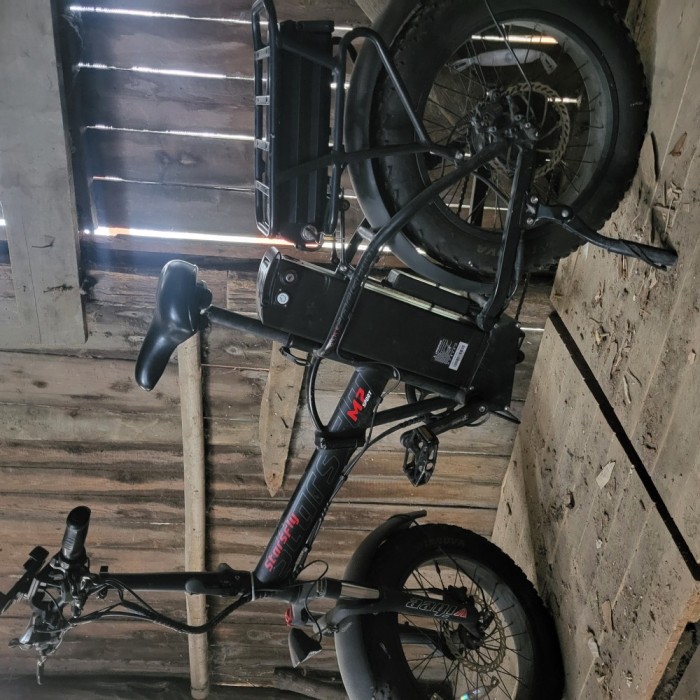 Biciclete electrice