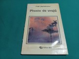 PLANTE DE VRAJĂ *HIEROBOTANICA *PAUL ȘTEFĂNESCU / 1994 *20