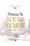 Crăciun la New York - Hardcover - Lars Wentrup, Lisa Nieschlag - RAO