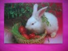 HOPCT 8858 SARBATORI FERICITE !!- FELICITARE PASCALA / PASTE -NECIRCULATA