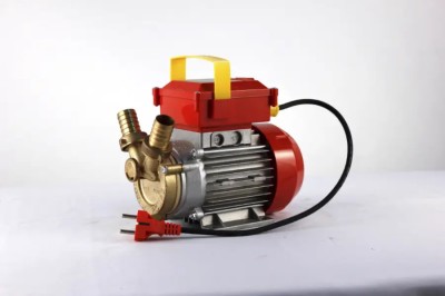 Electropompa Rover 25 By-Pass pentru transvazare vin si lichide alimentare foto