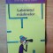 LABIRINTUL MASLINELOR de EDUARDO MENDOZA , COLECTIA RASUL LUMII